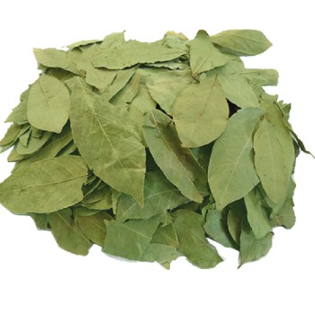 laurel leaf9
